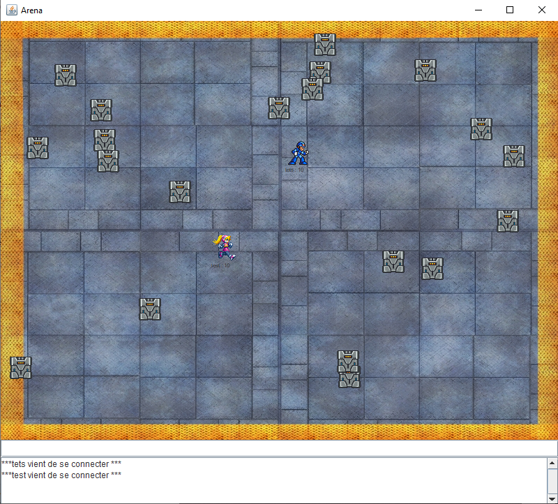 Arène avec deux joueurs 